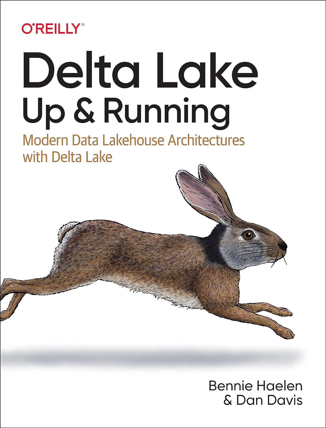 Delta Lake Up and Running
